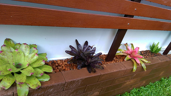 จัดสวนเอง