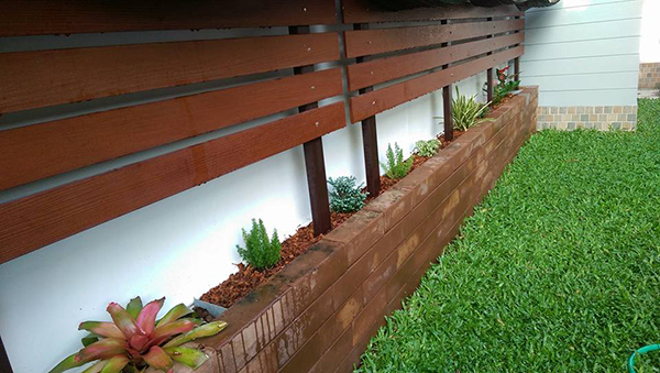 สวนข้างบ้าน