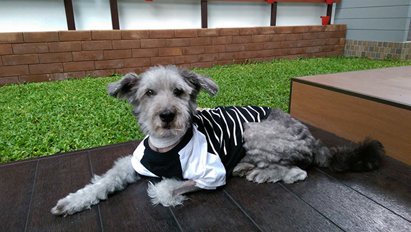 สวนข้างบ้าน