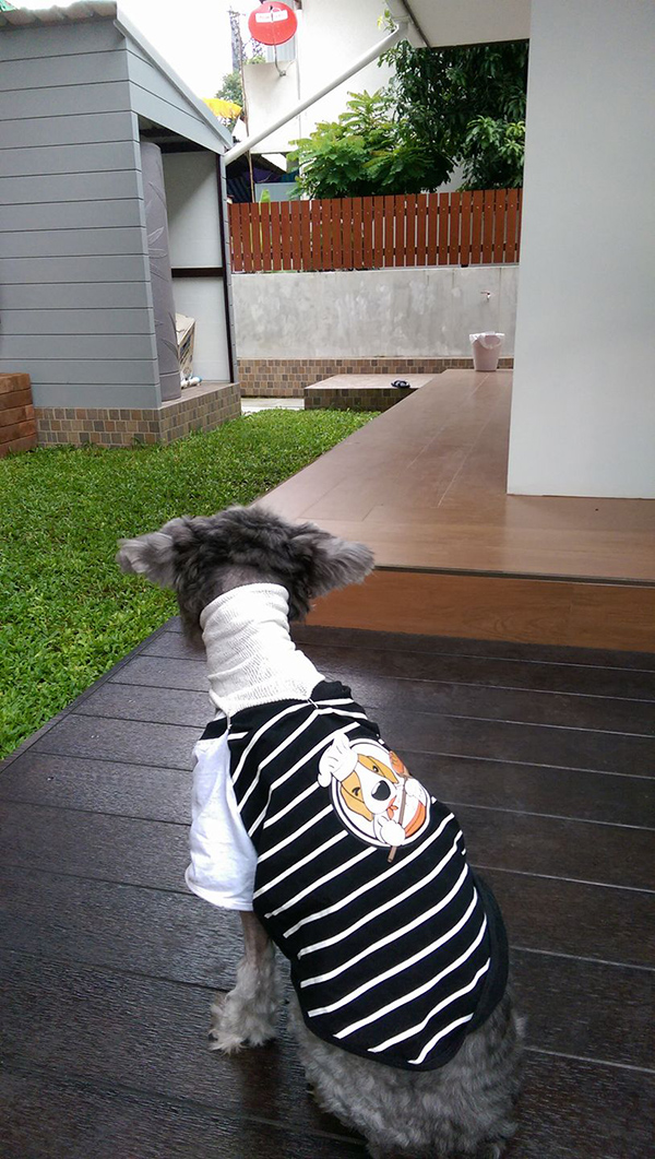 จัดสวนเอง