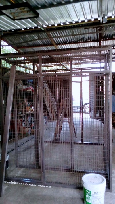 สร้างบ้านแมว สร้างบ้านแมว