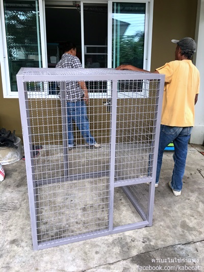 กรงแมว กรงแมว