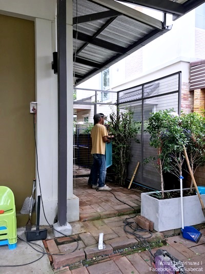 สร้างบ้านแมว สร้างบ้านแมว