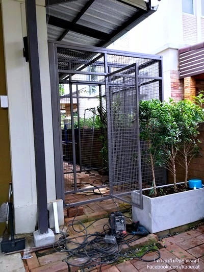 บ้านแมว บ้านแมว