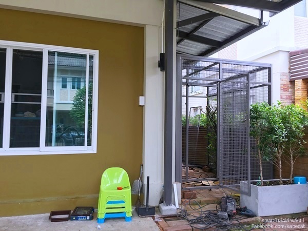 บ้านแมว บ้านแมว