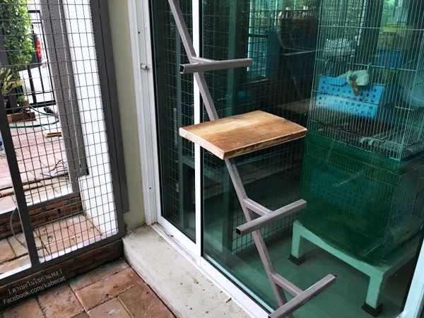 บ้านแมว บ้านแมว