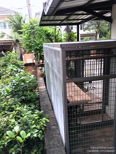กรงแมว กรงแมว