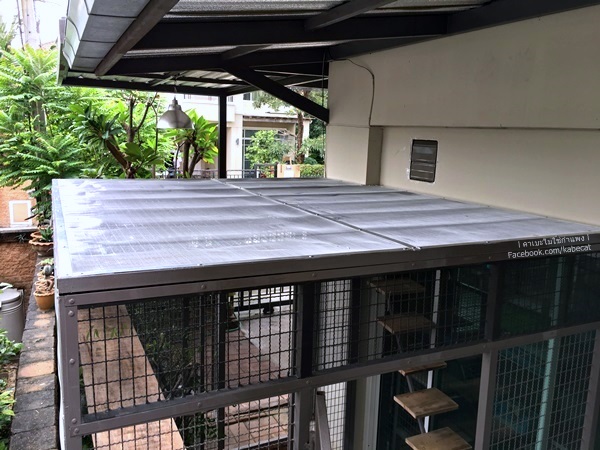 บ้านแมว บ้านแมว