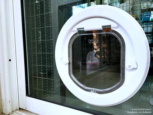 บ้านแมว บ้านแมว