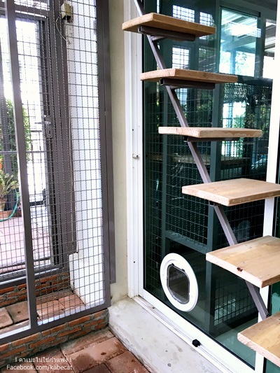 สร้างบ้านให้แมว สร้างบ้านให้แมว