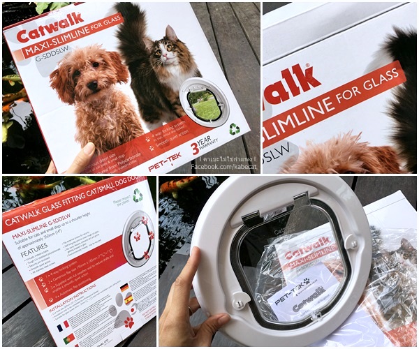 ประตูแมว ประตูแมว