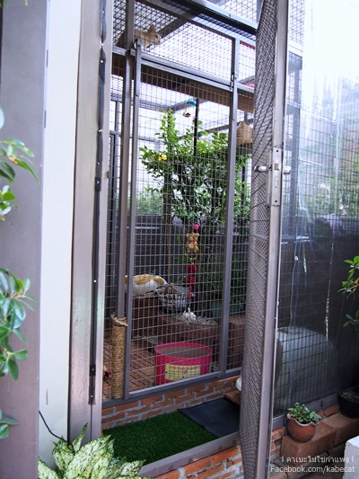 กรงแมวข้างบ้าน กรงแมวข้างบ้าน