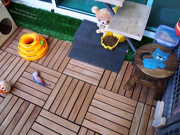 บ้านแมว บ้านแมว