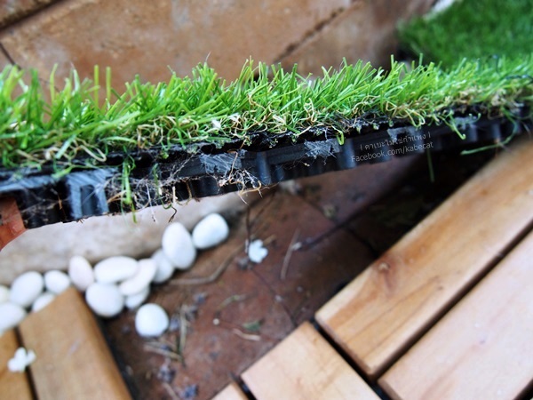 แต่งกรงแมว แต่งกรงแมว