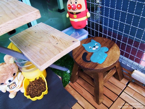 กรงแมว กรงแมว