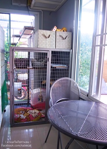 กรงแมว กรงแมว
