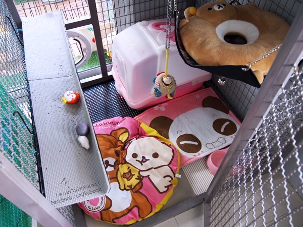 กรงแมว กรงแมว