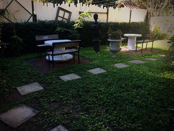 สวนข้างบ้าน สวนข้างบ้าน