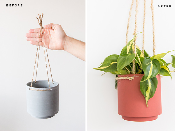 กระถางต้นไม้ กระถางต้นไม้