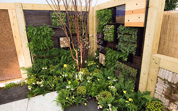 สวนสวยด้วยเฟิร์น