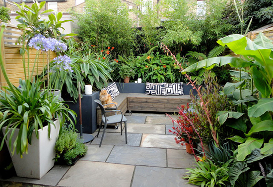 จัดสวนริมรั้ว