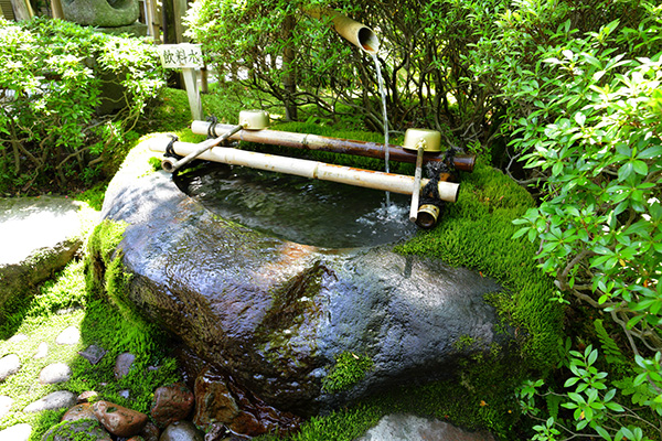 แต่งสวนด้วยไผ่