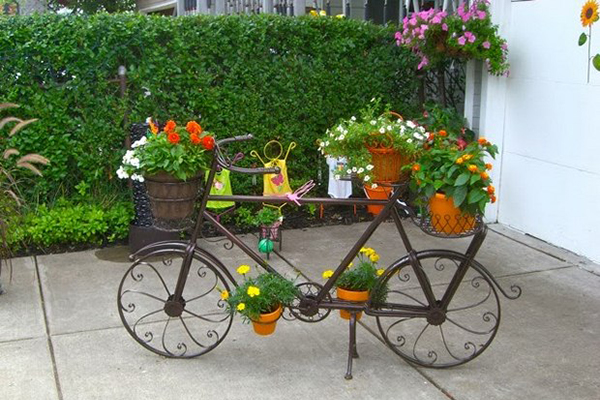 แต่งสวนด้วยจักรยาน