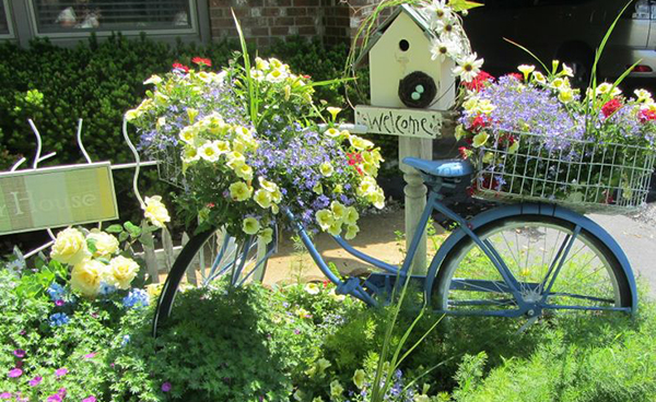 จักรยานเก่าแต่งสวน