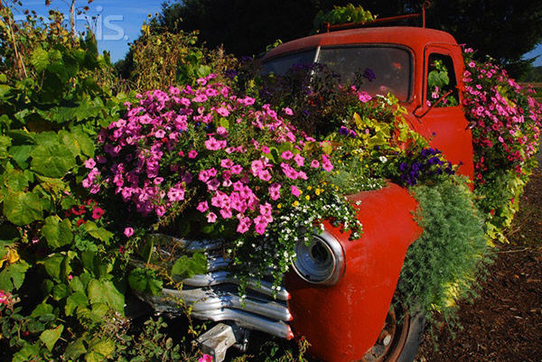 ไอเดียแต่งสวนด้วยรถเก่า
