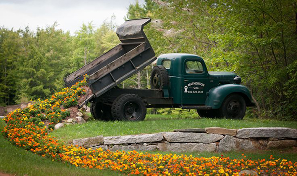 ไอเดียจัดสวน ถ้วยรถเก่า