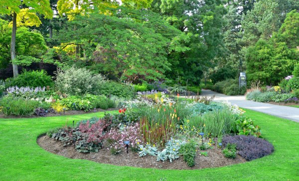 เรื่องน่ารู้ในการตัดญ้า ชนิดต่างๆ