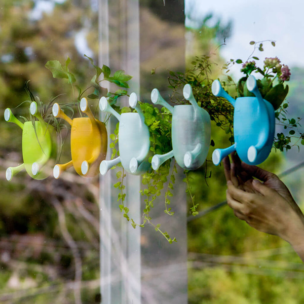 ที่ปลูกต้นไม้ติดกระจก