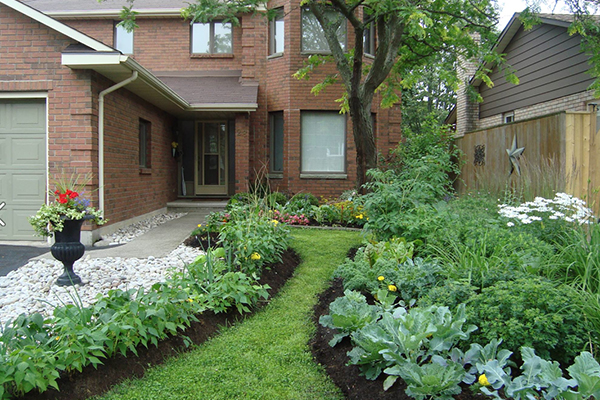 จัดสวนสวยด้วยผัก