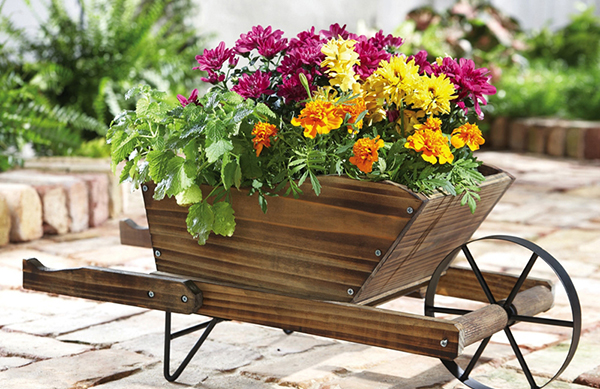 รถเข็นจัดสวน