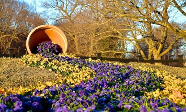 ไอเดียปลูกดอกไม้เก๋ๆ เท่ห์ ไม่เหมือนใคร