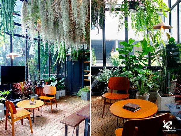 ไอเดียจัดสวนในบ้านแบบเรือนกระจก 2