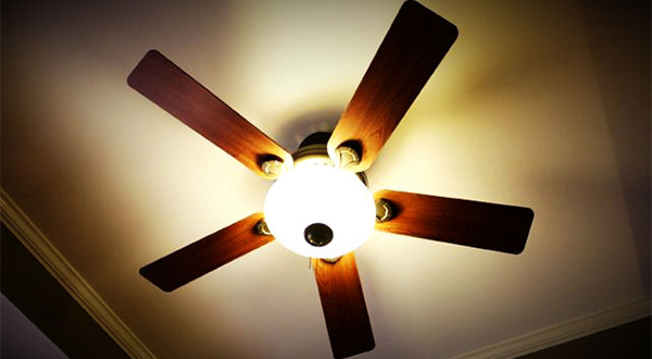 7 วิธีง่าย ประหยัดพลังงาน เพื่อโลก