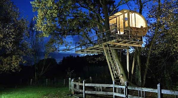 บ้านต้นไม้ ผสมผสานการตกแต่งที่ทันสมัย