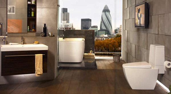 ไขปัญหาสารพันเรื่องสุขภัณฑ์