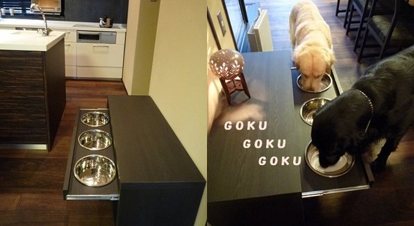 ไอเดียสุดเริ่ด!! กับที่กินข้าวของน้องหมา