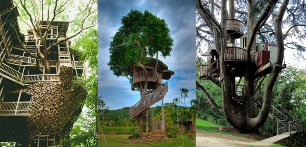 รวม 21 ไอเดีย บ้านต้นไม้ สุดเก๋ แบบที่คุณอาจไม่คาดคิด