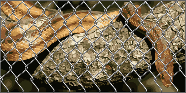 วิธีป้องกันงูเข้าบ้าน โผล่ที่ชักโครก