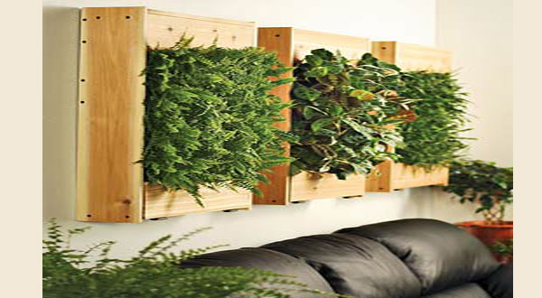 ตกแต่งห้องด้วยชุดต้นไม้ติดผนัง