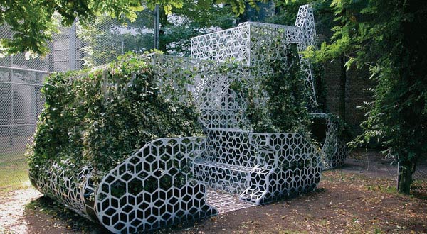 ต้นไม้ในรถขุด