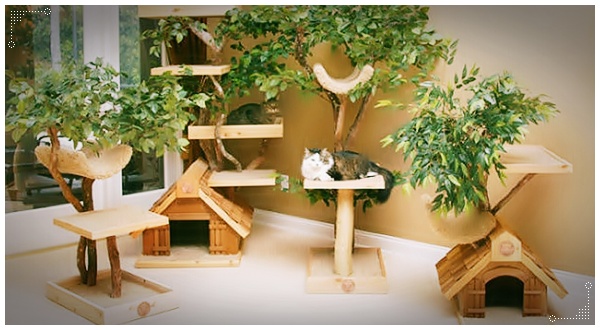 ออกแบบบ้าน สำหรับเจ้าแมวเหมียว