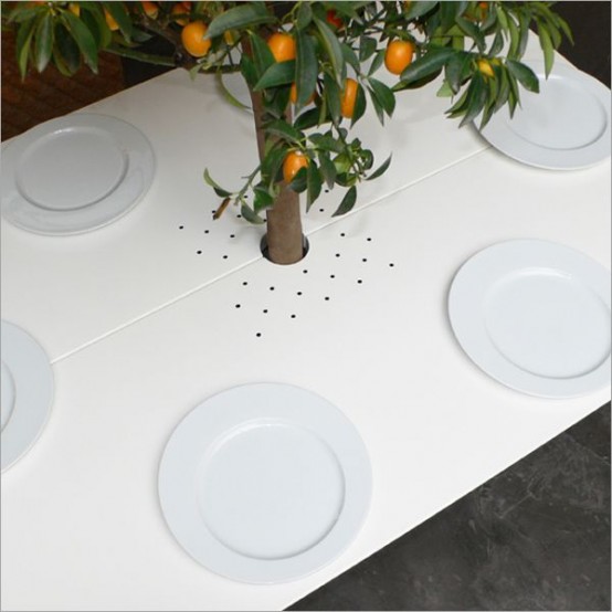 โต๊ะอาหาร เฟอร์นิเจอร์ ปลูกต้นไม้ กระถางต้นไม้ โต๊ะอาหาร เฟอร์นิเจอร์ ปลูกต้นไม้ กระถางต้นไม้