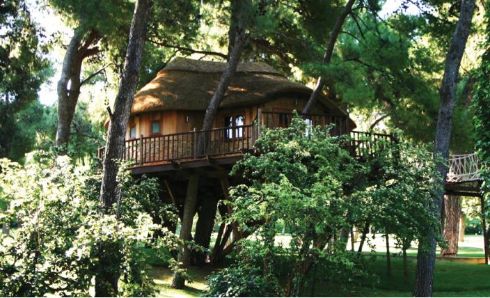 แบบบ้านต้นไม้ แบบบ้านต้นไม้