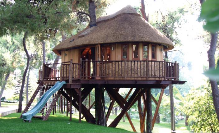 บ้านต้นไม้ บ้านต้นไม้