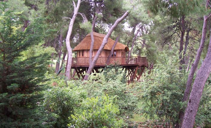 บ้านต้นไม้ บ้านต้นไม้