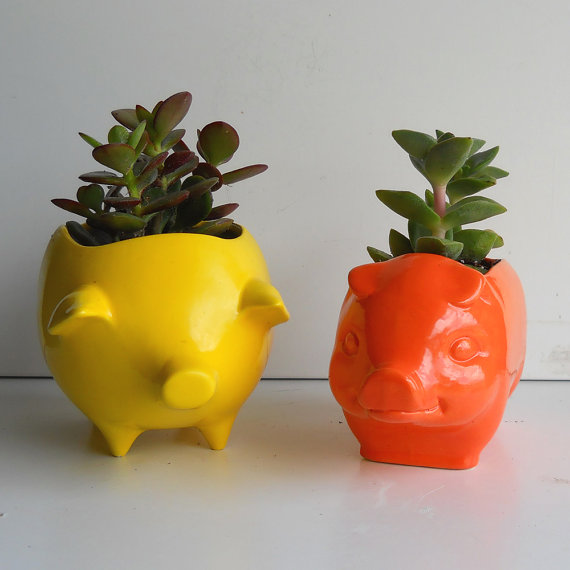 การทำสวนในห้องพัก การทำสวนในห้องพัก